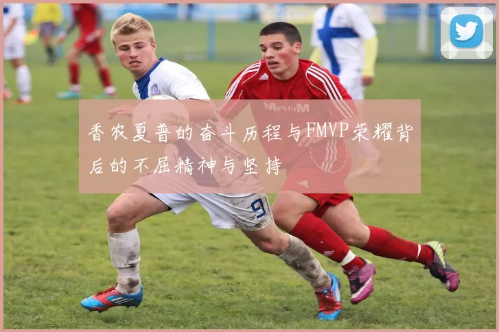 香农夏普的奋斗历程与FMVP荣耀背后的不屈精神与坚持