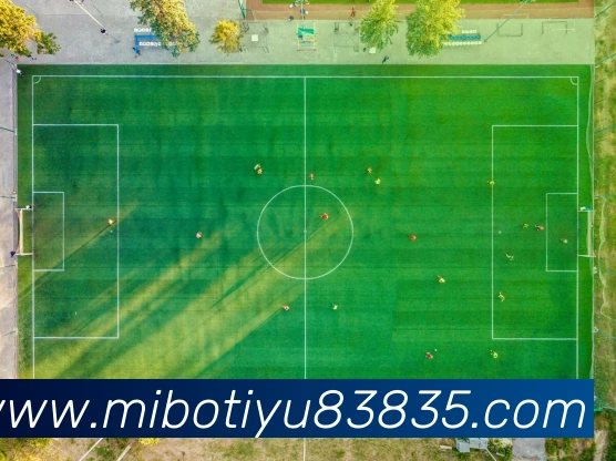 米博体育8383全站App